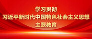 插进来色视频学习贯彻习近平新时代中国特色社会主义思想主题教育_fororder_ad-371X160(2)